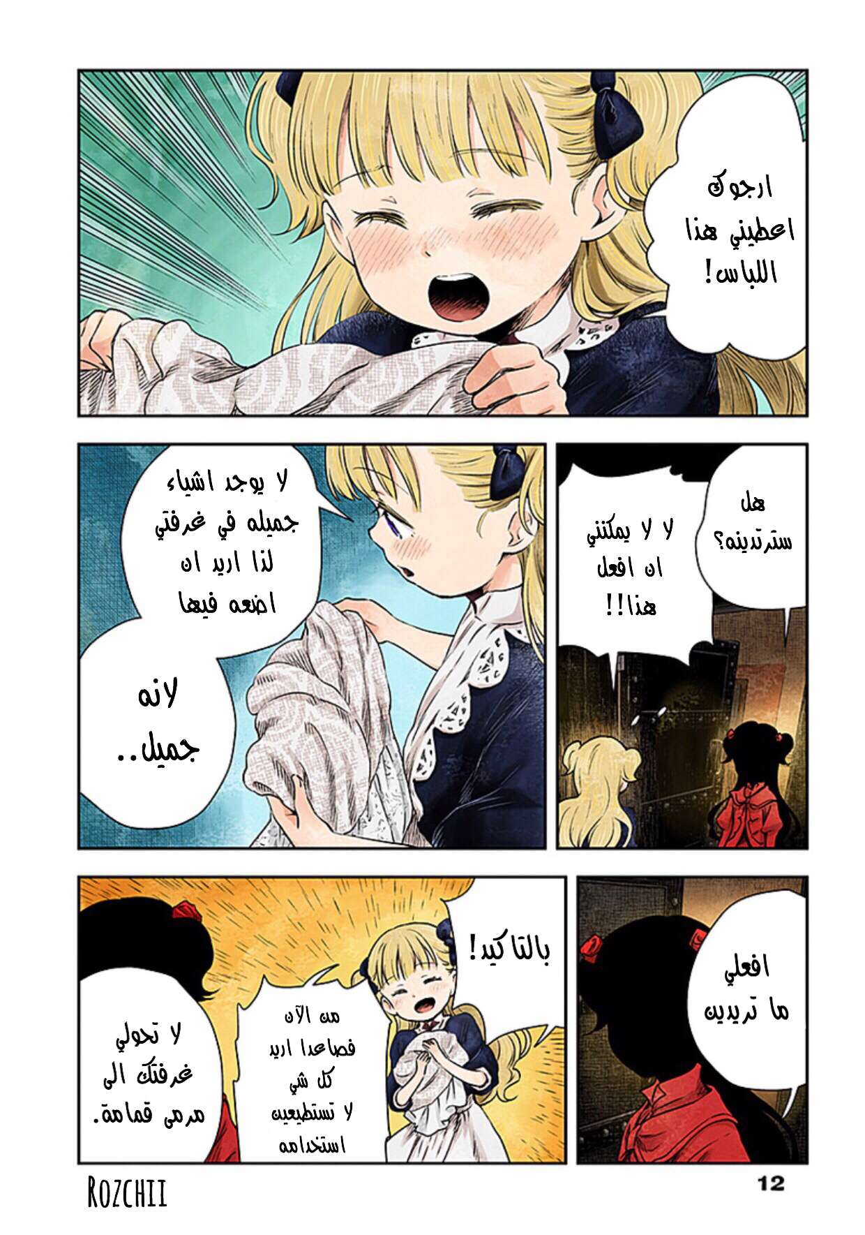 الصفحة 13
