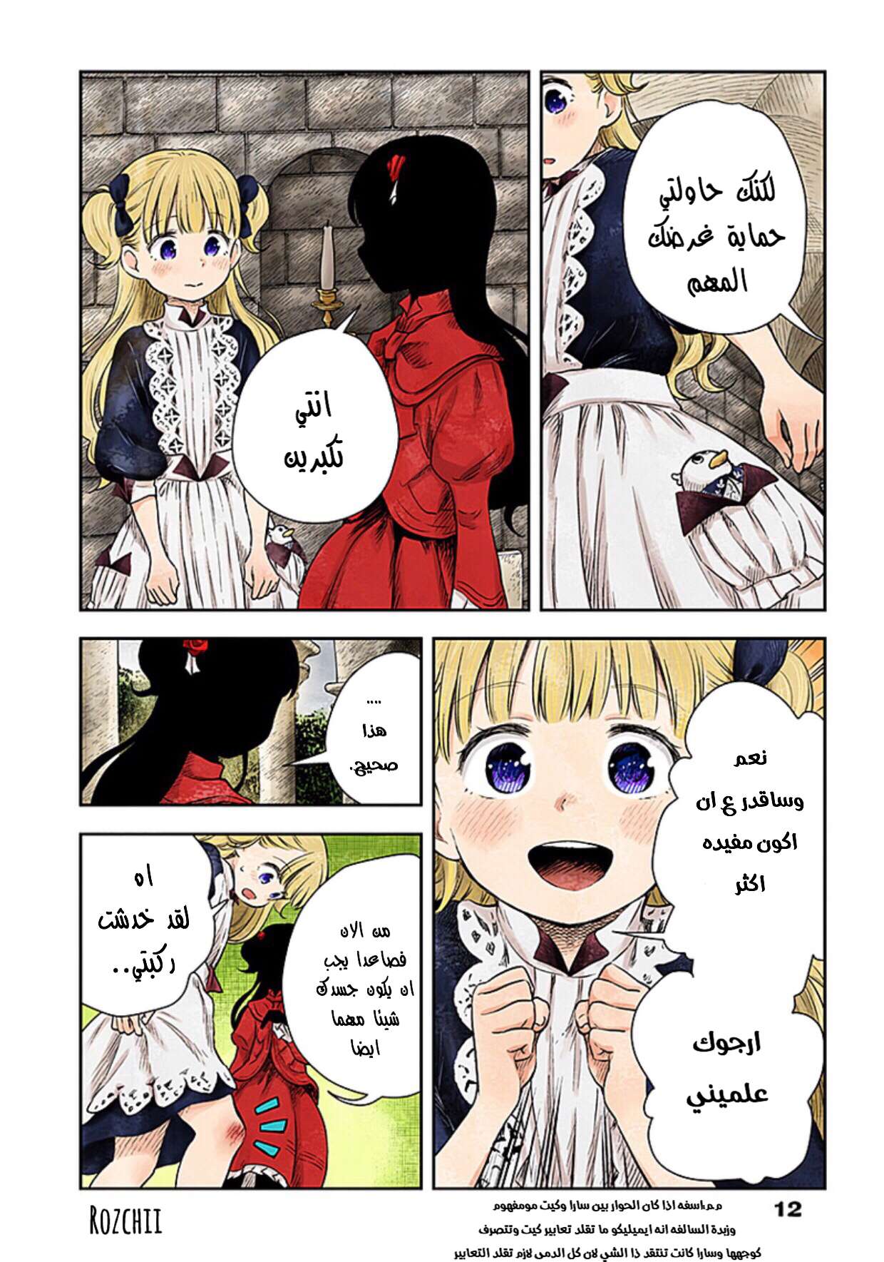 الصفحة 12