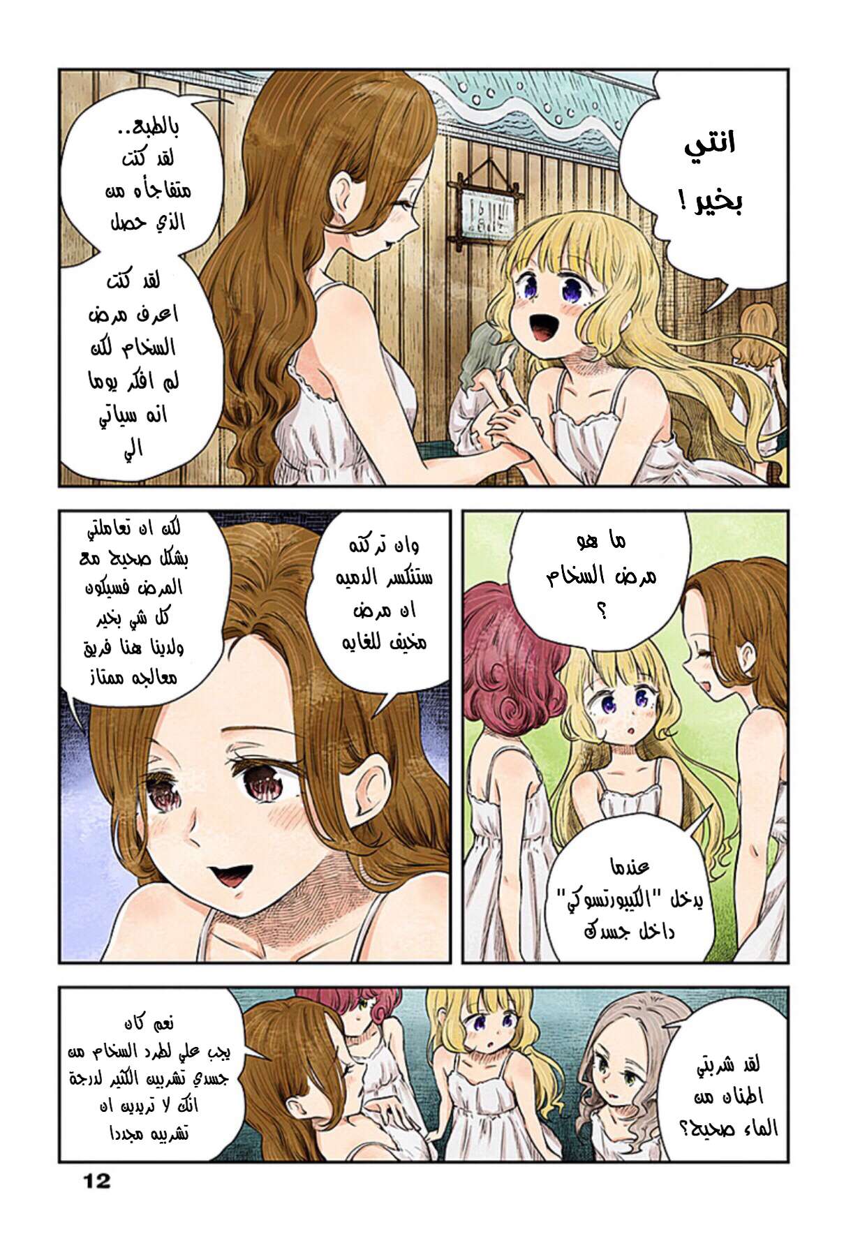 الصفحة 12