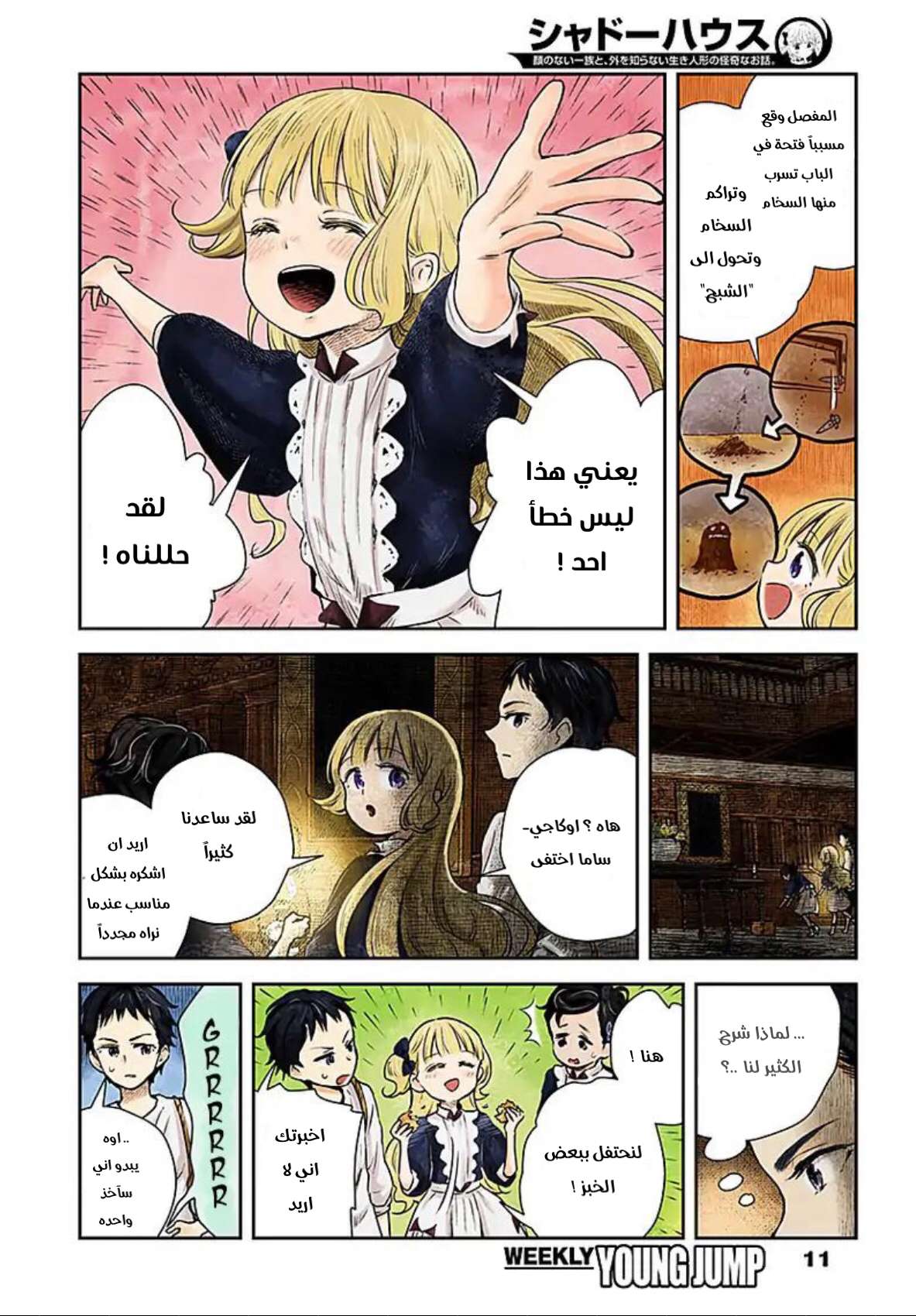 الصفحة 11