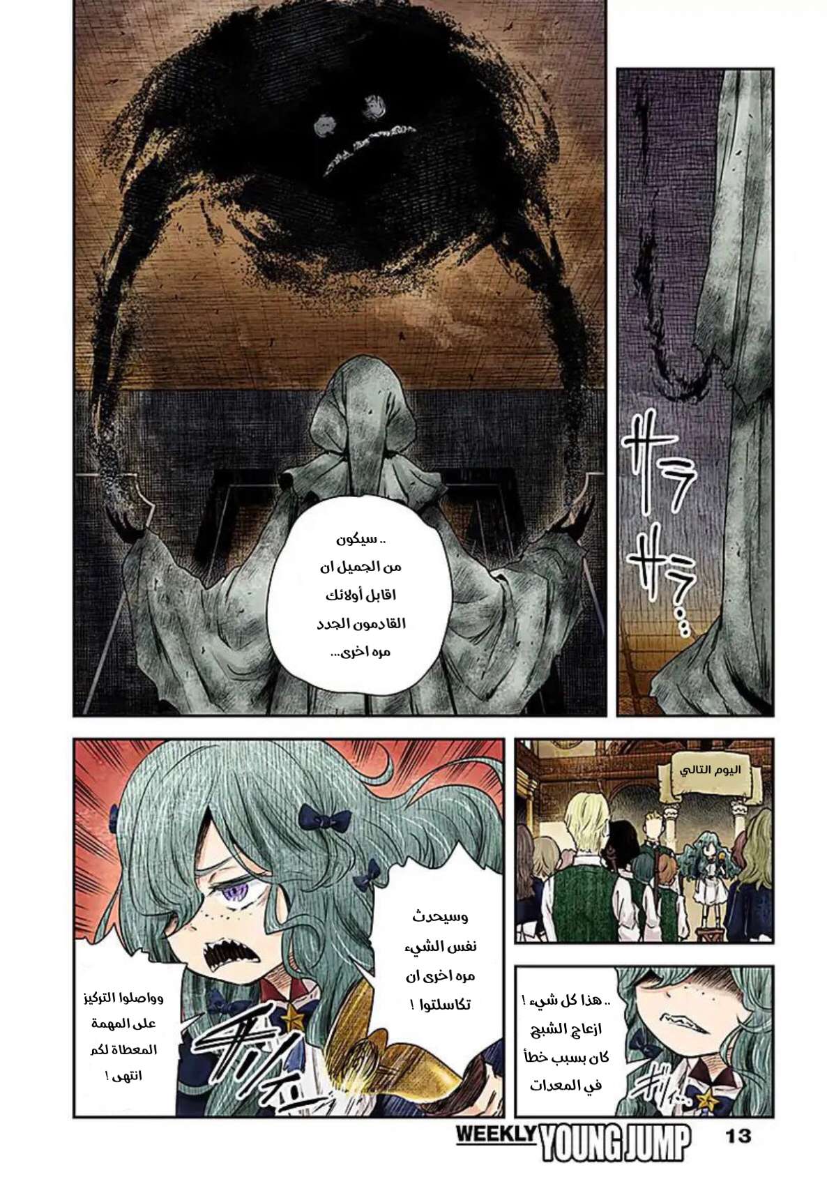 الصفحة 13