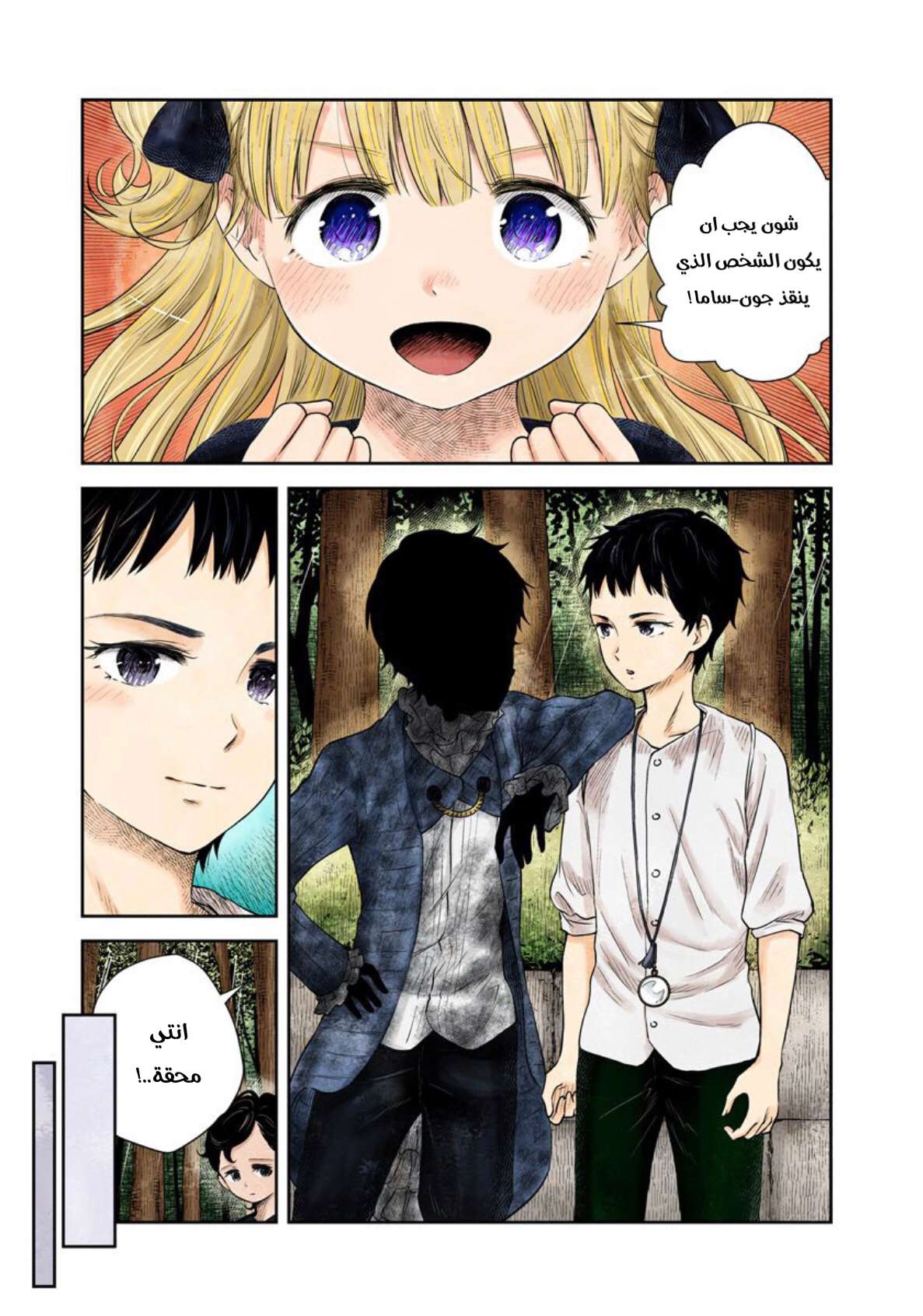 الصفحة 11