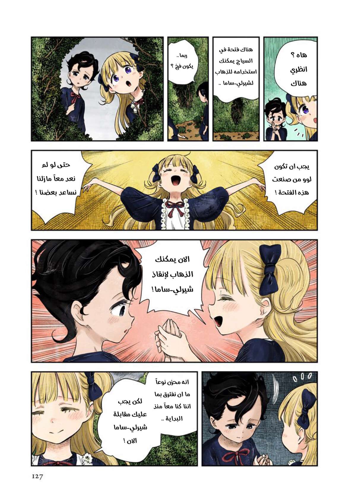 الصفحة 11