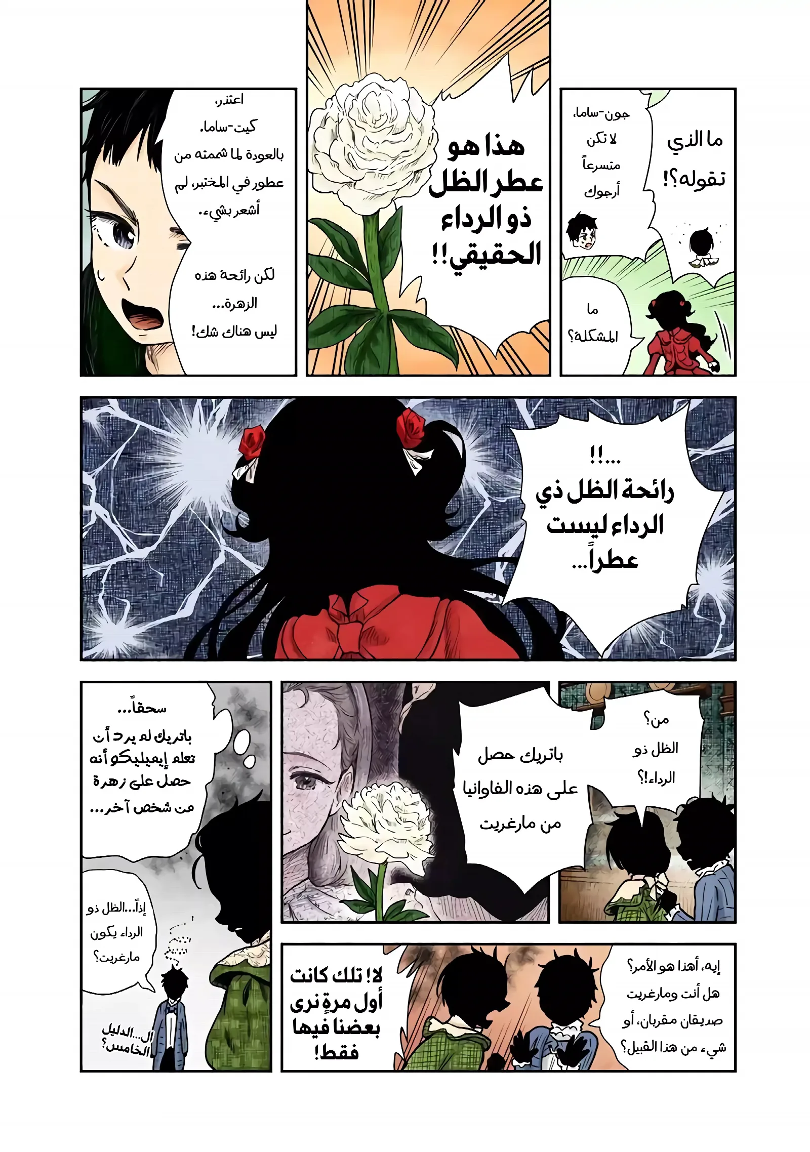 الصفحة 12