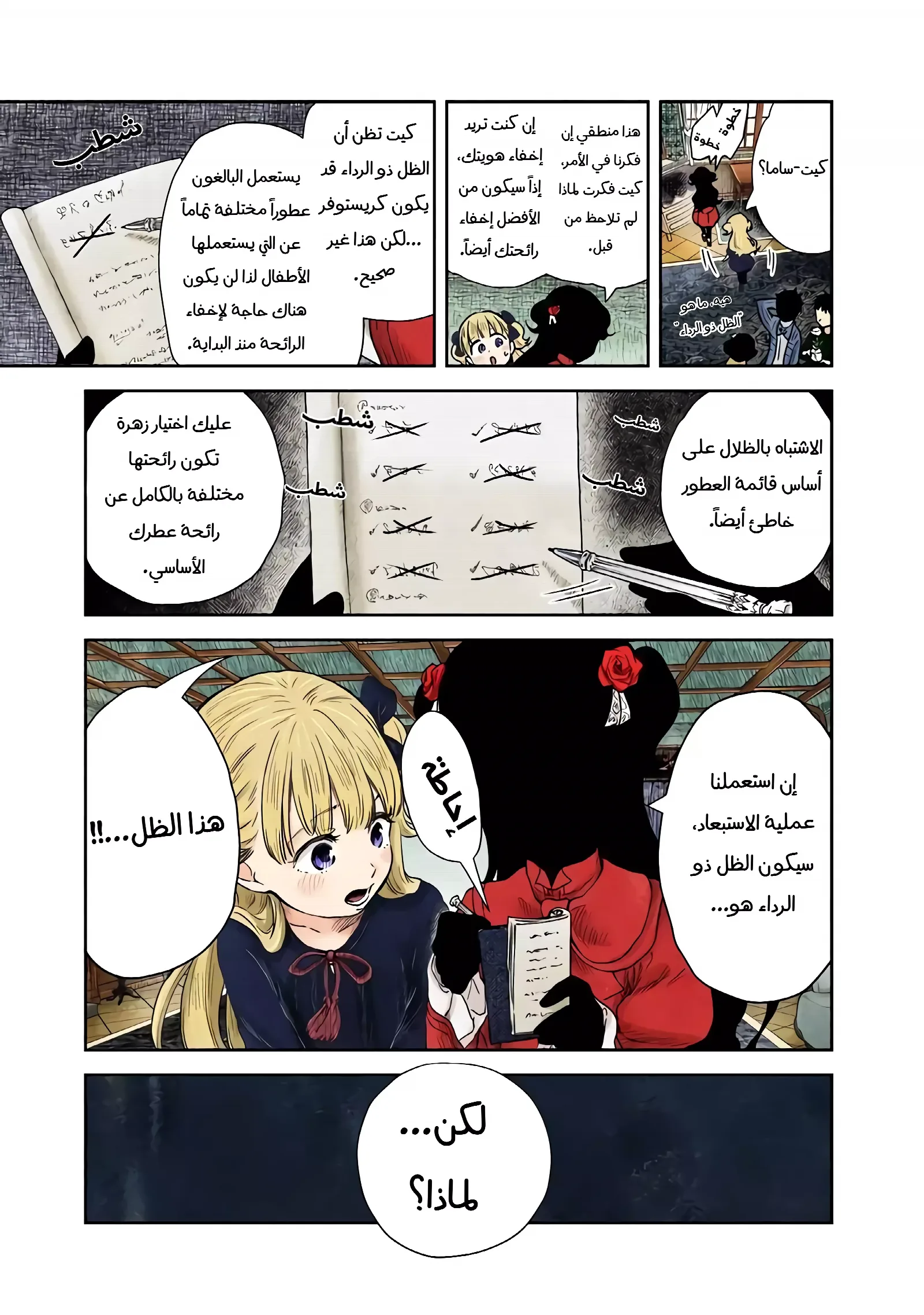 الصفحة 13