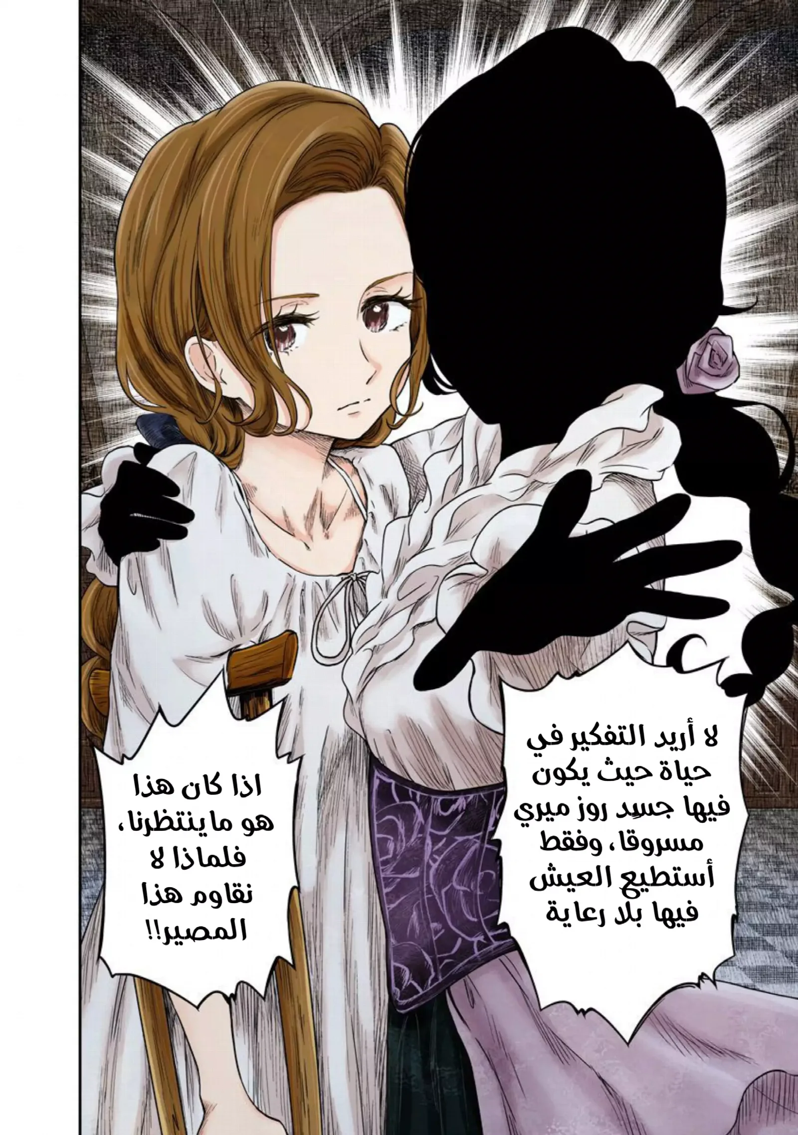 الصفحة 11