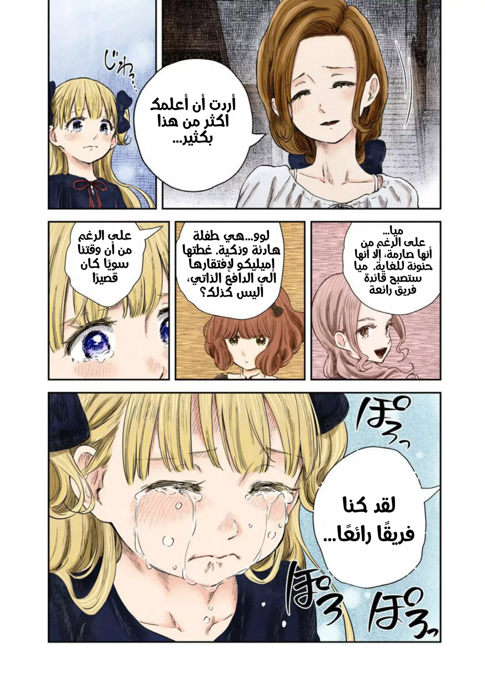 الصفحة 13