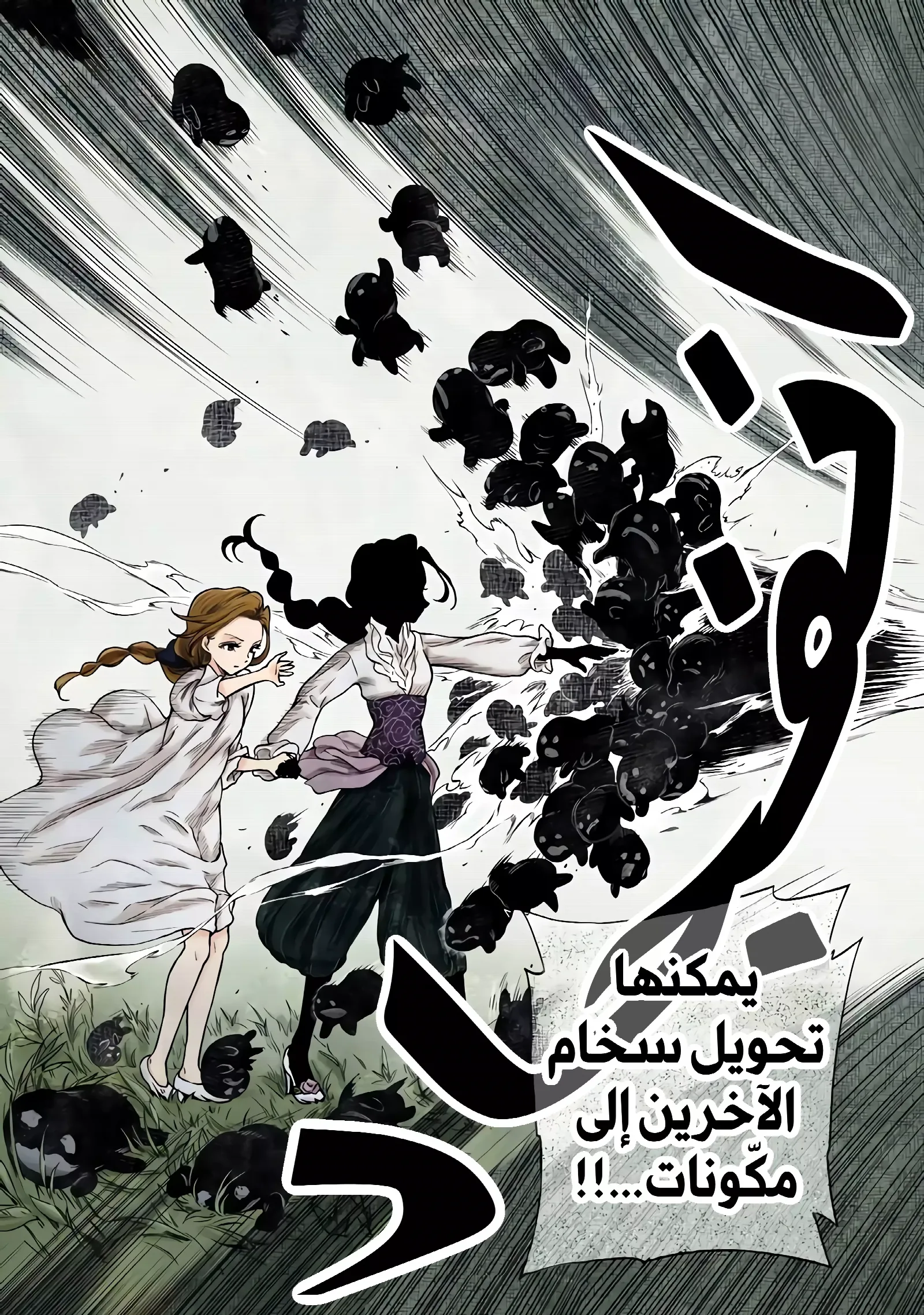 الصفحة 13
