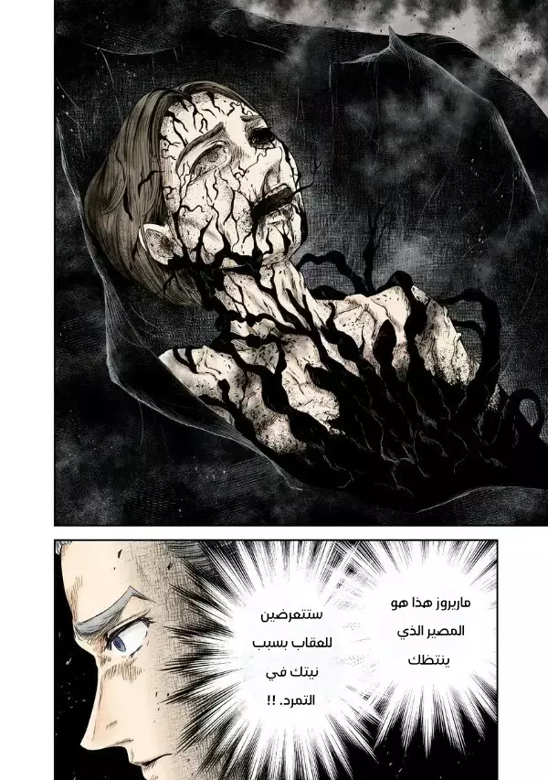 الصفحة 12
