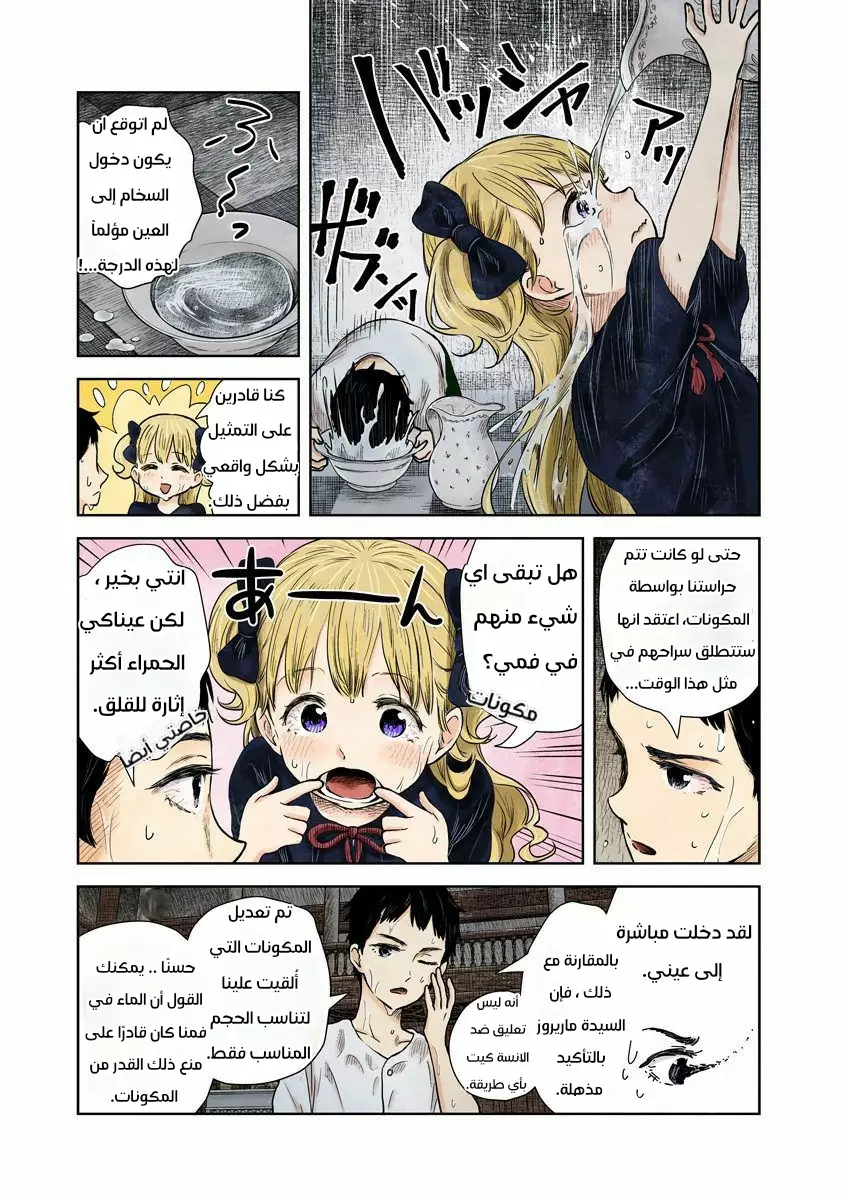 الصفحة 8