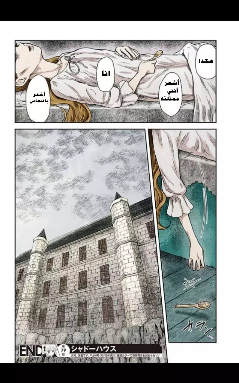 الصفحة 14