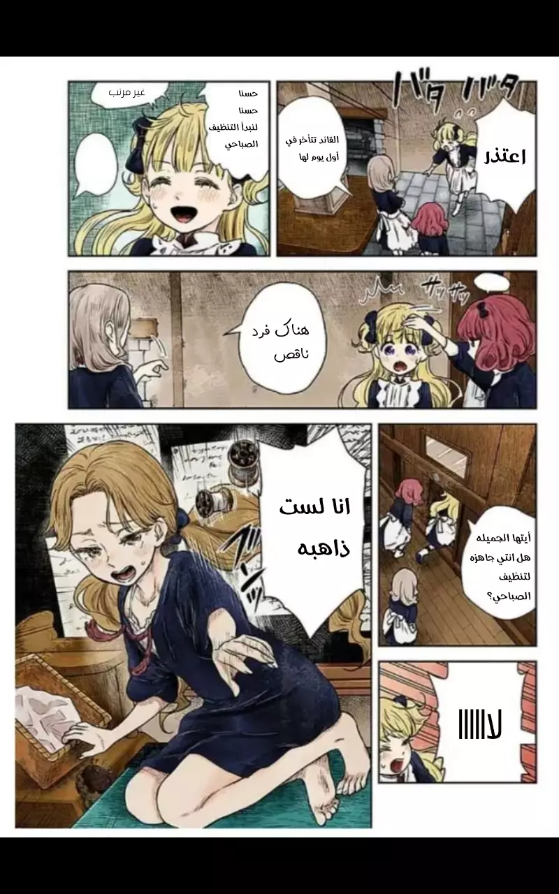 الصفحة 11