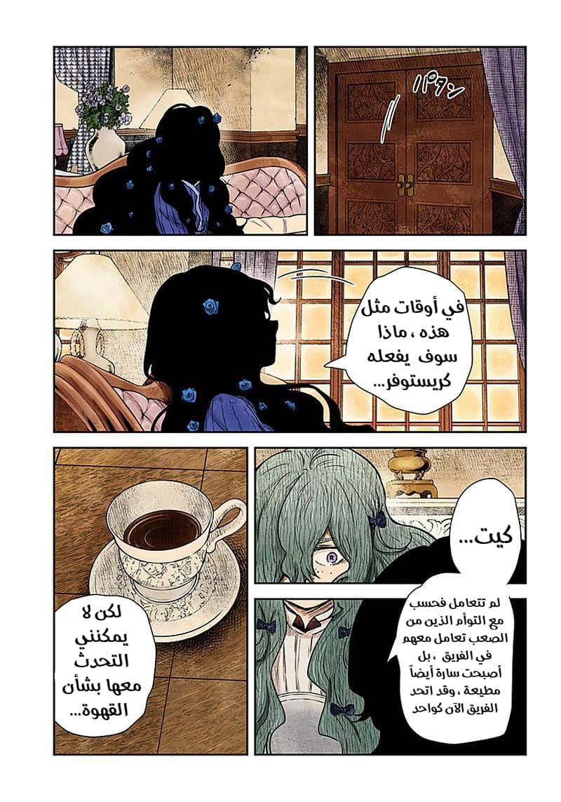 الصفحة 13