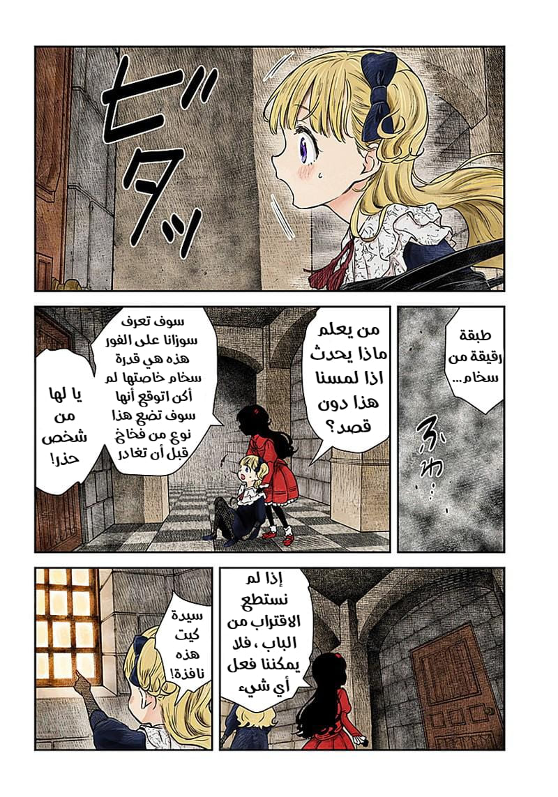 الصفحة 13