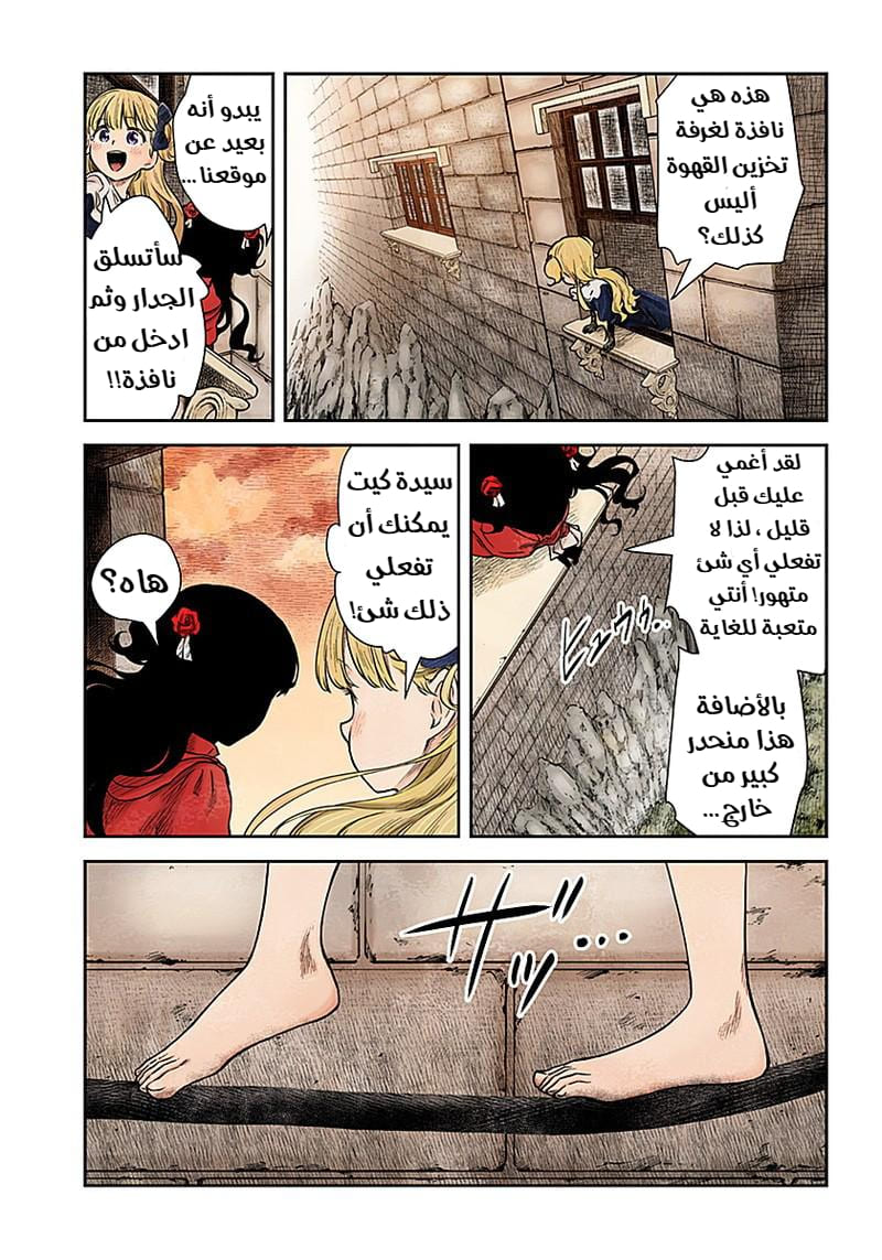 الصفحة 14