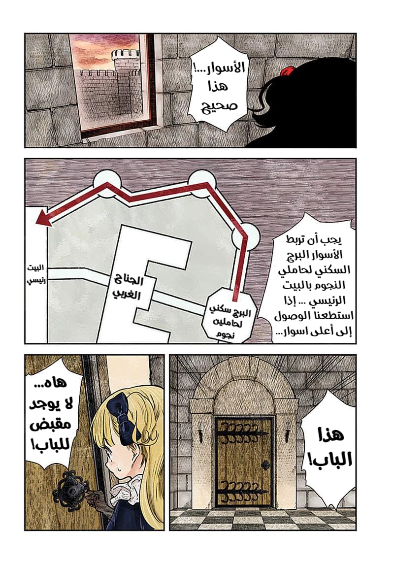 الصفحة 13