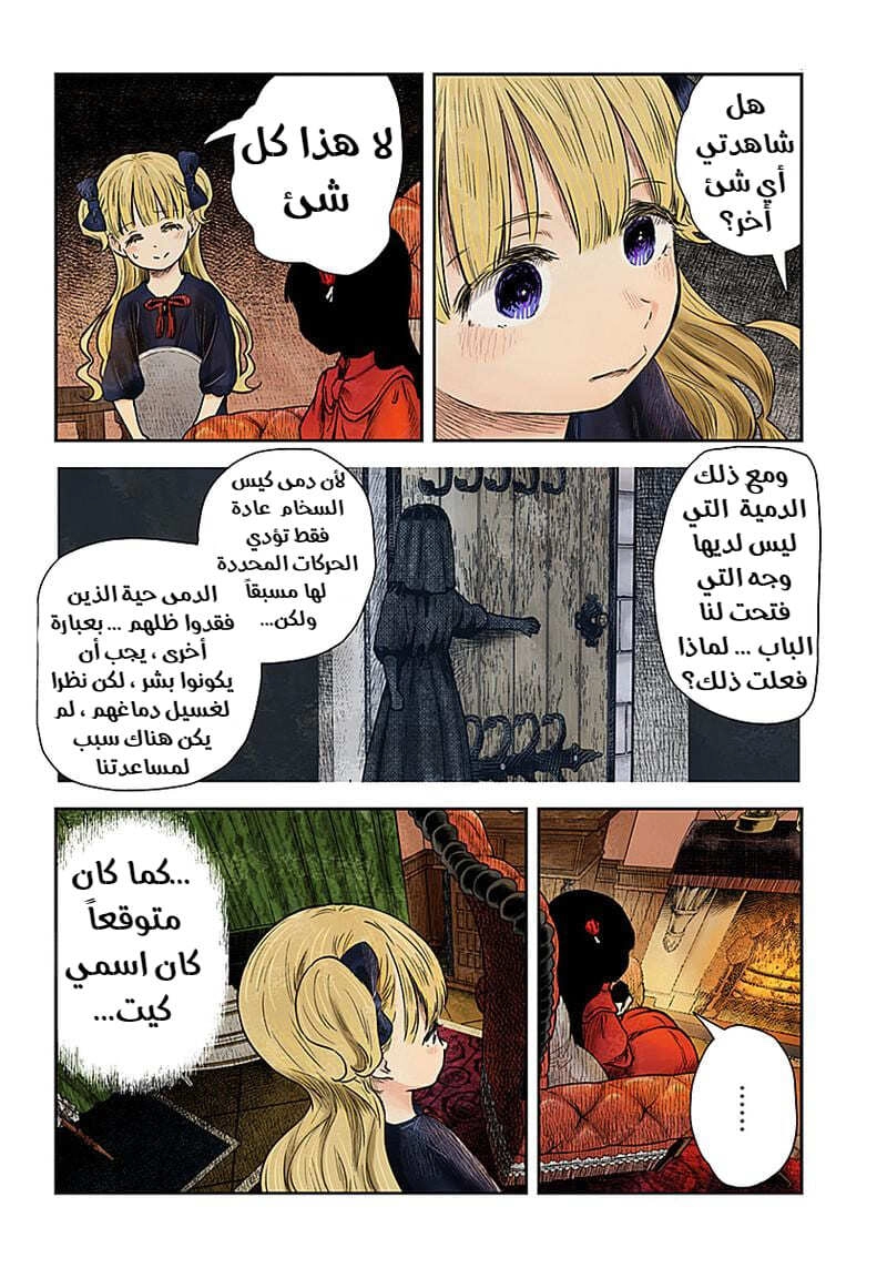 الصفحة 13