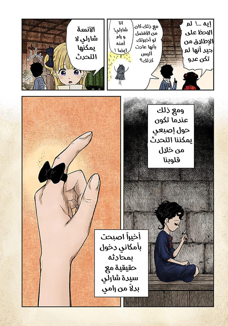 الصفحة 13