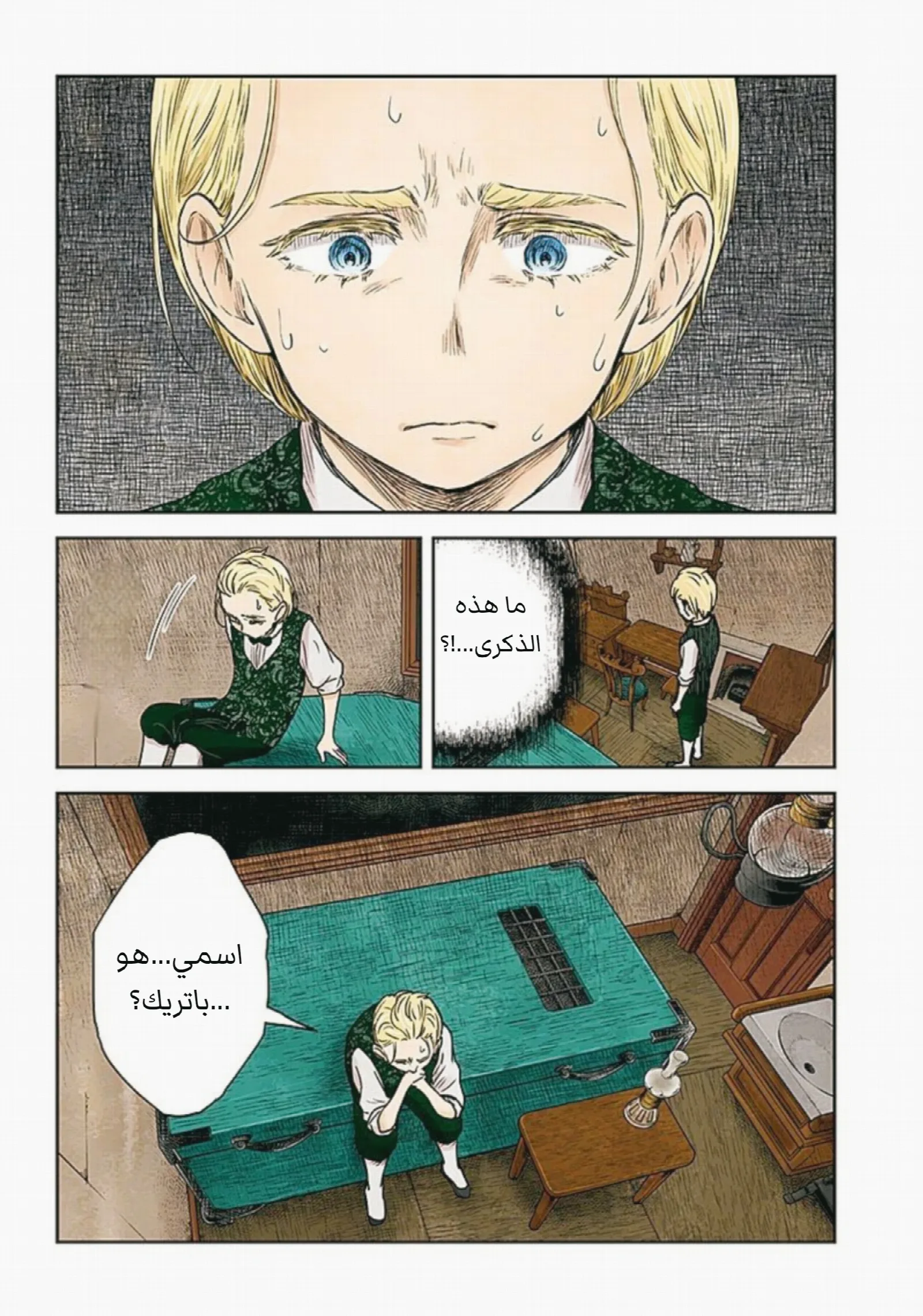 الصفحة 17