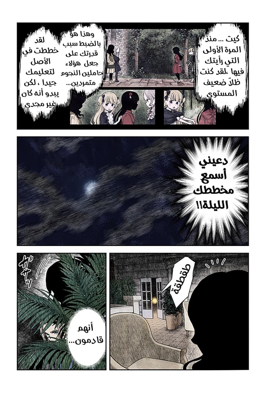 الصفحة 3