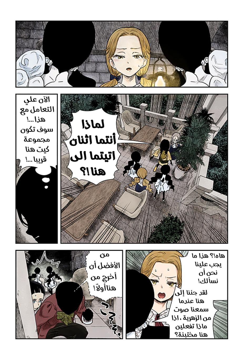 الصفحة 11