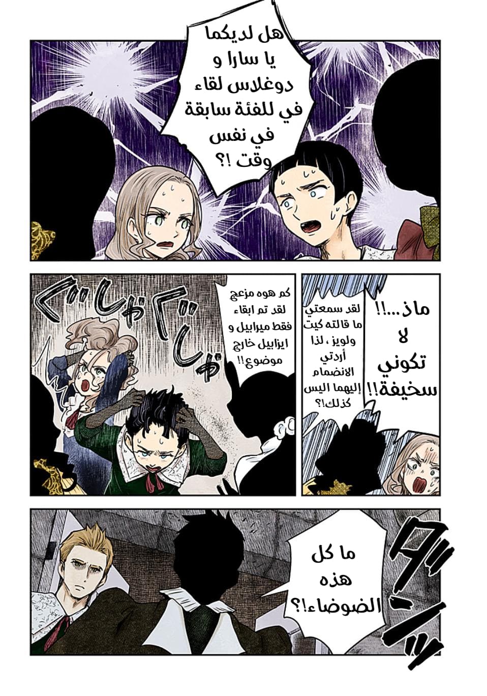 الصفحة 13