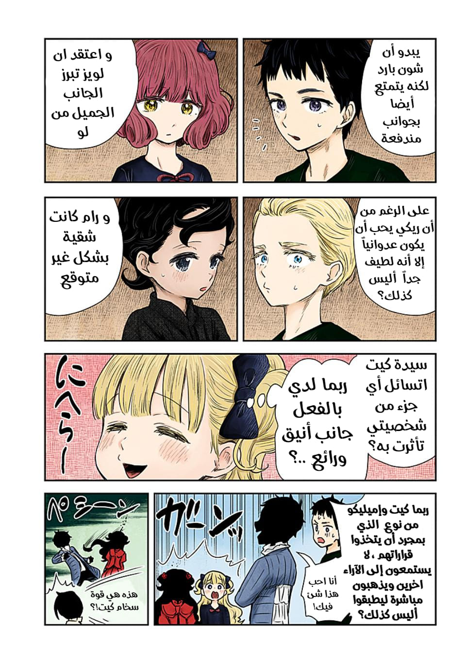 الصفحة 13
