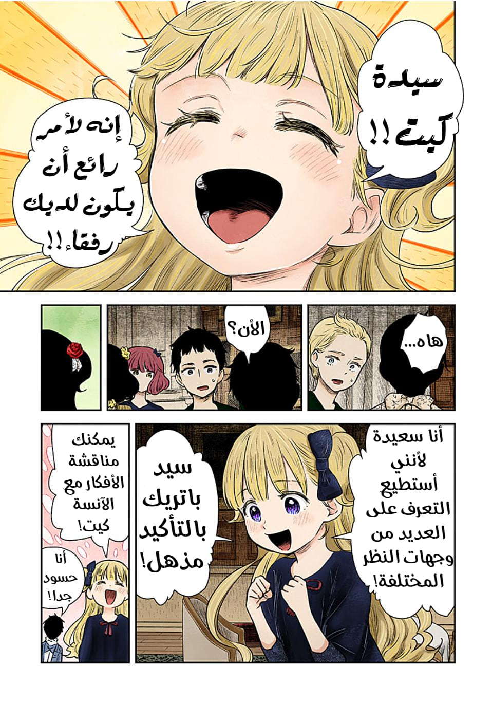 الصفحة 13