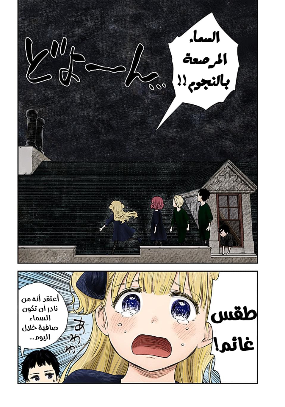 الصفحة 3