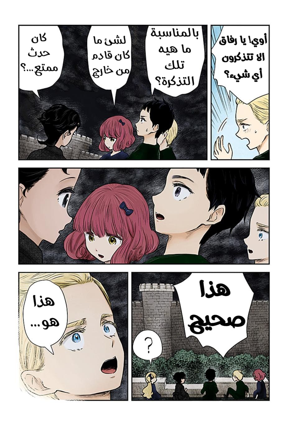 الصفحة 13