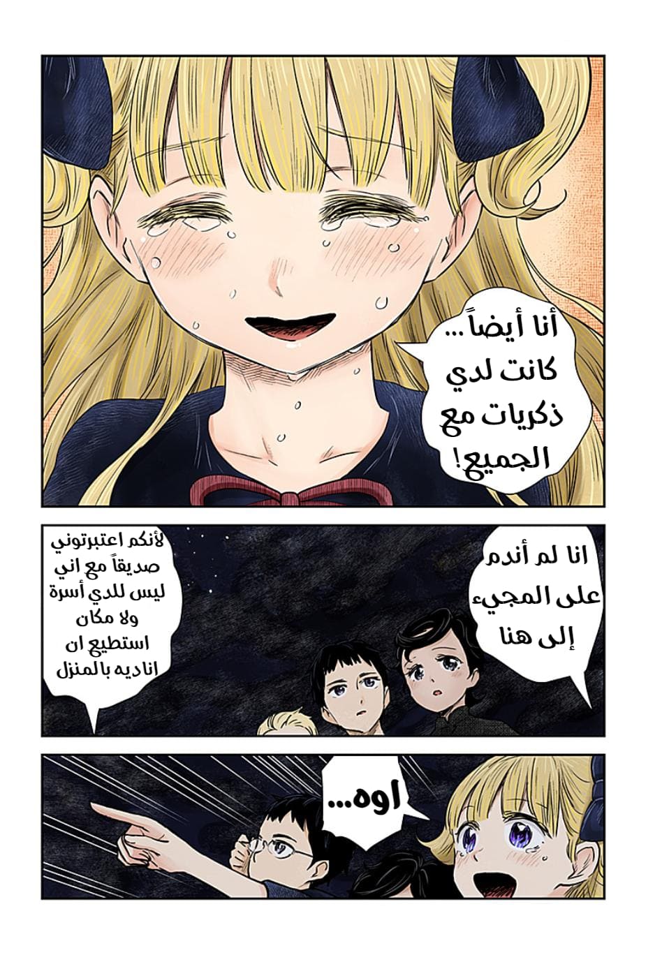 الصفحة 13