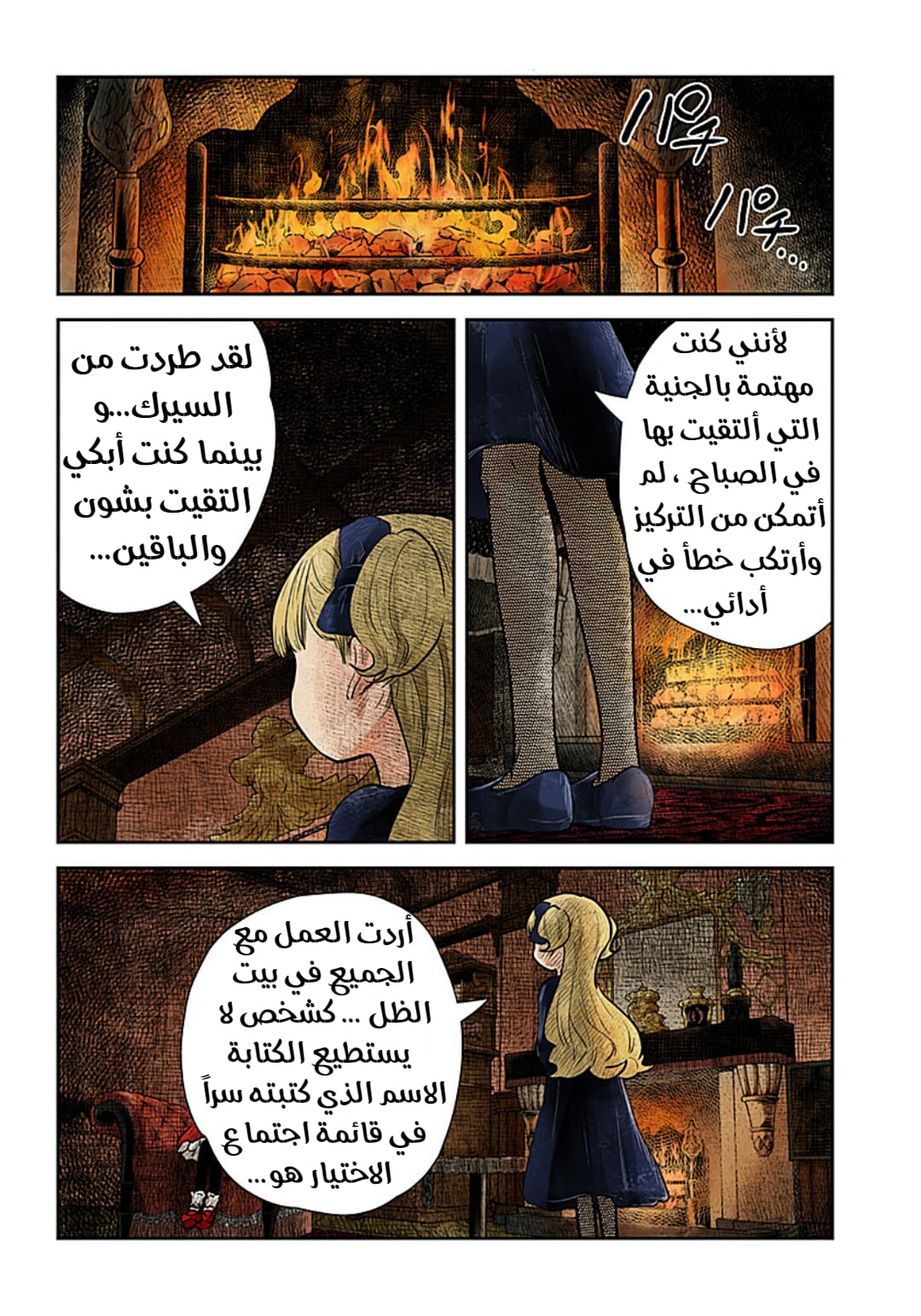 الصفحة 13