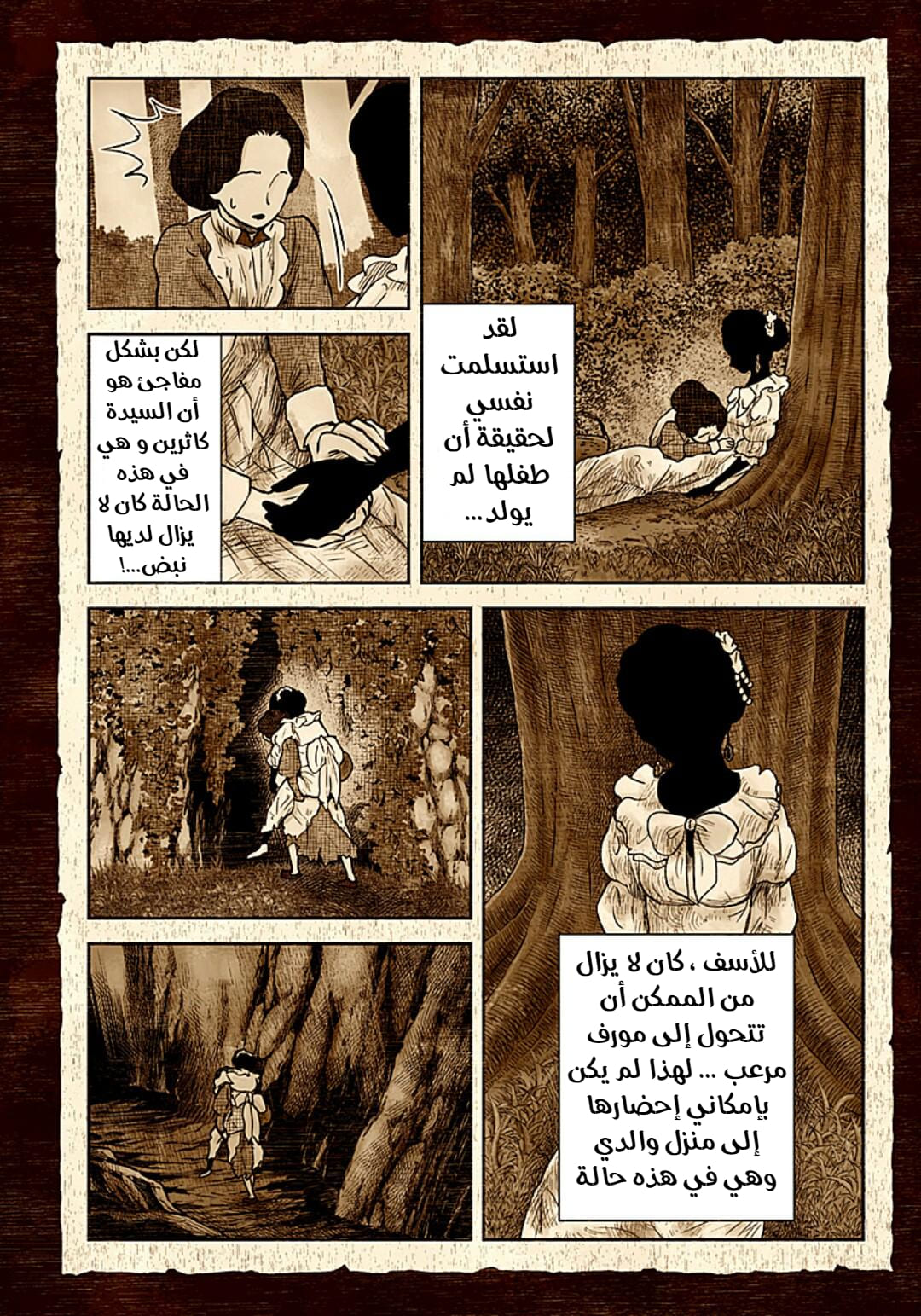 الصفحة 13