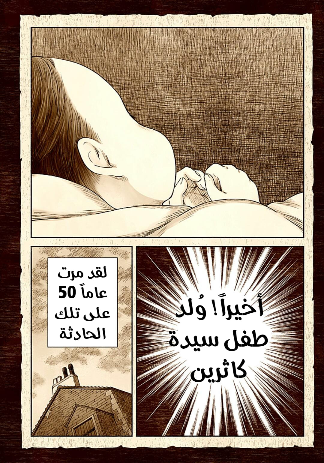 الصفحة 17