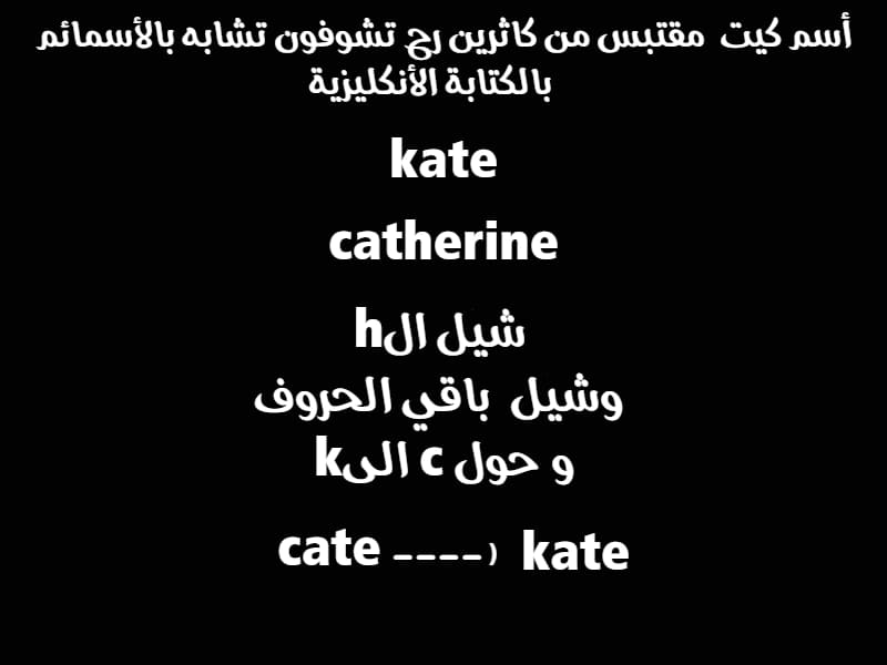 الصفحة 19