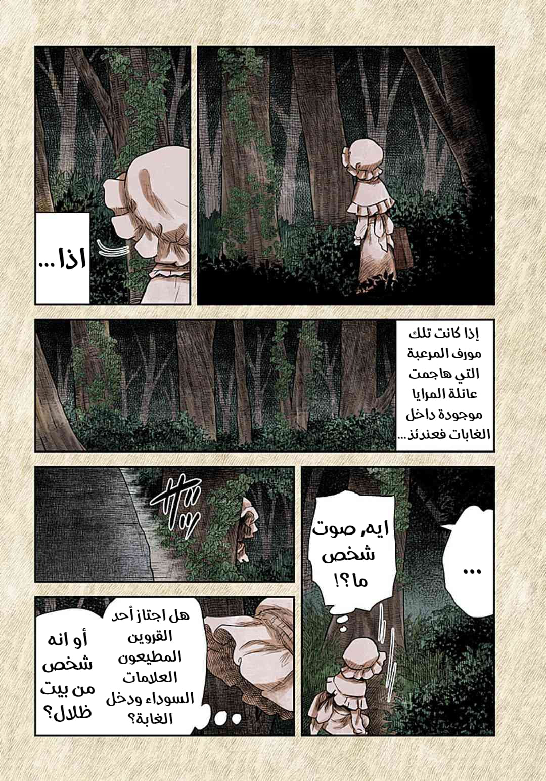 الصفحة 13