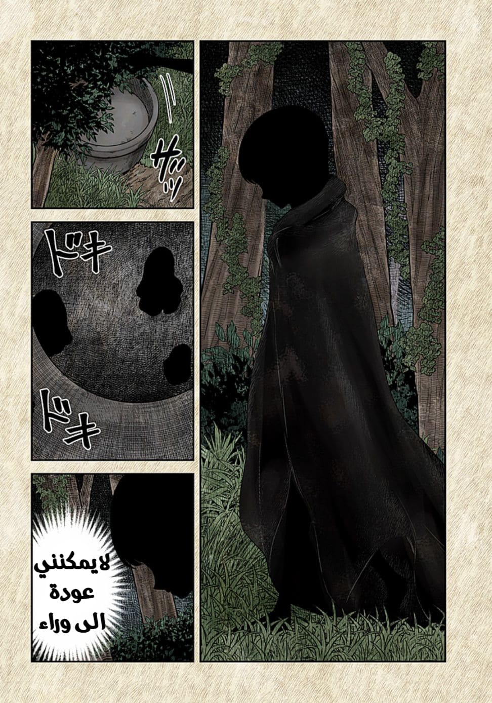 الصفحة 13