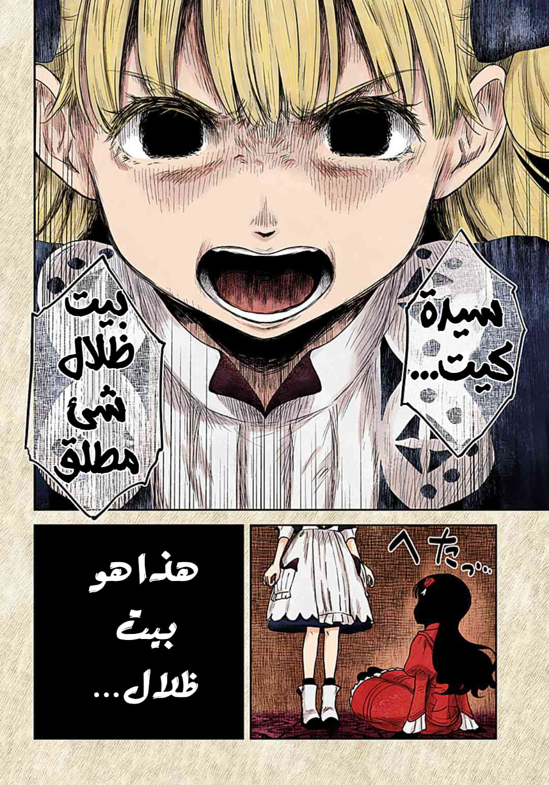 الصفحة 17