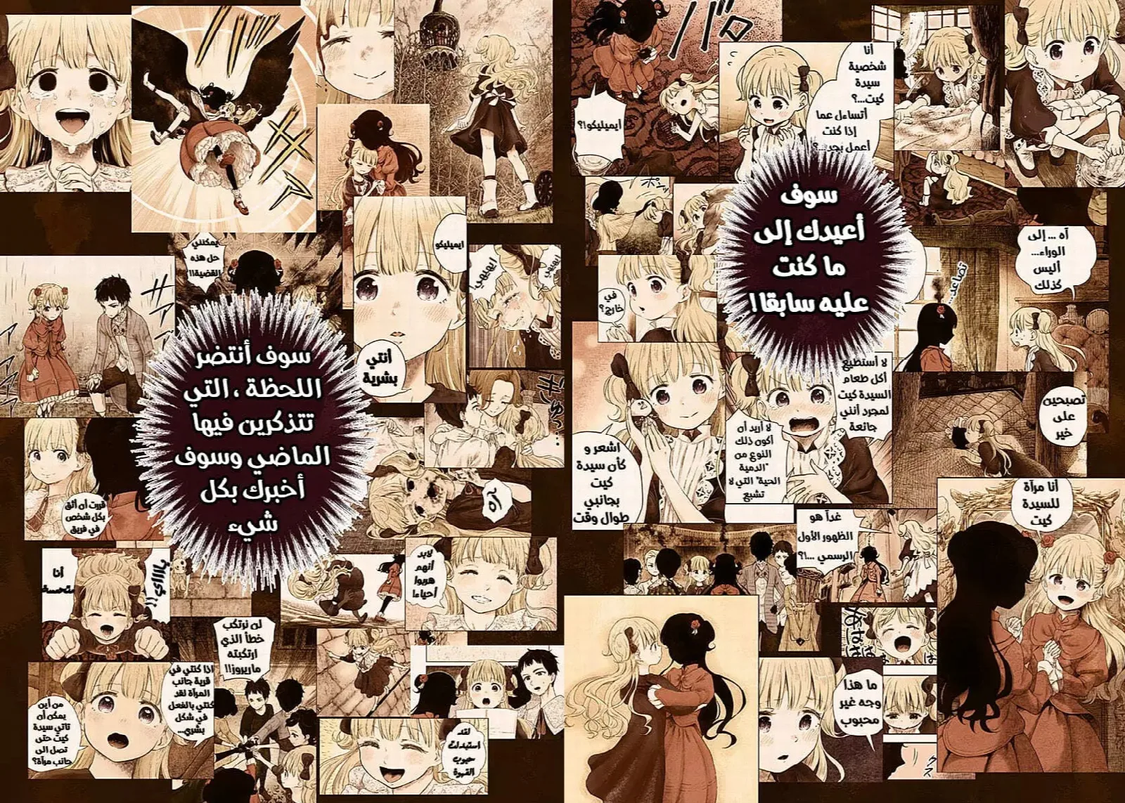 الصفحة 11