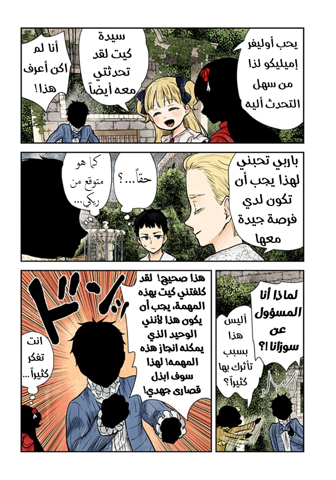 الصفحة 13
