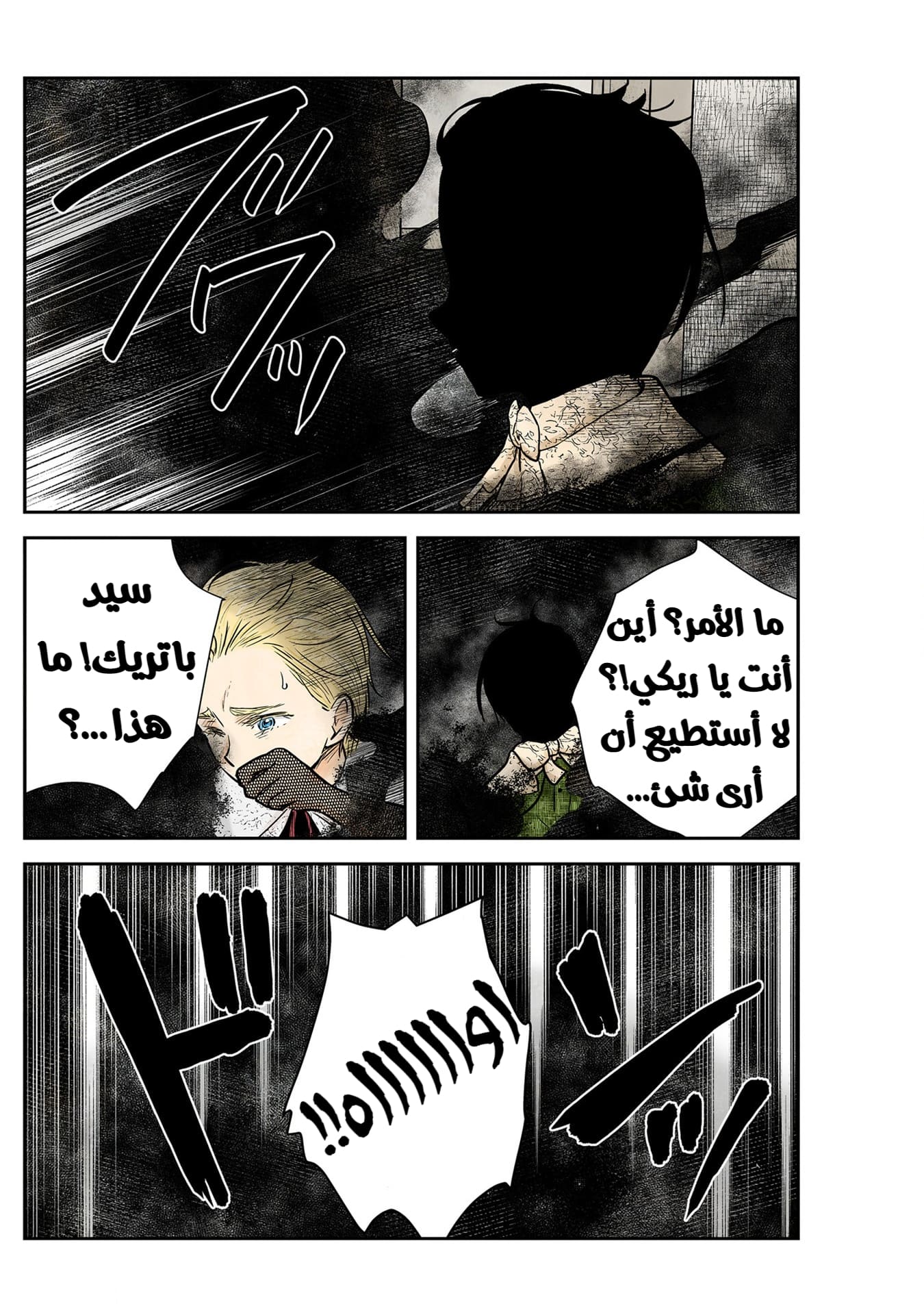 الصفحة 17