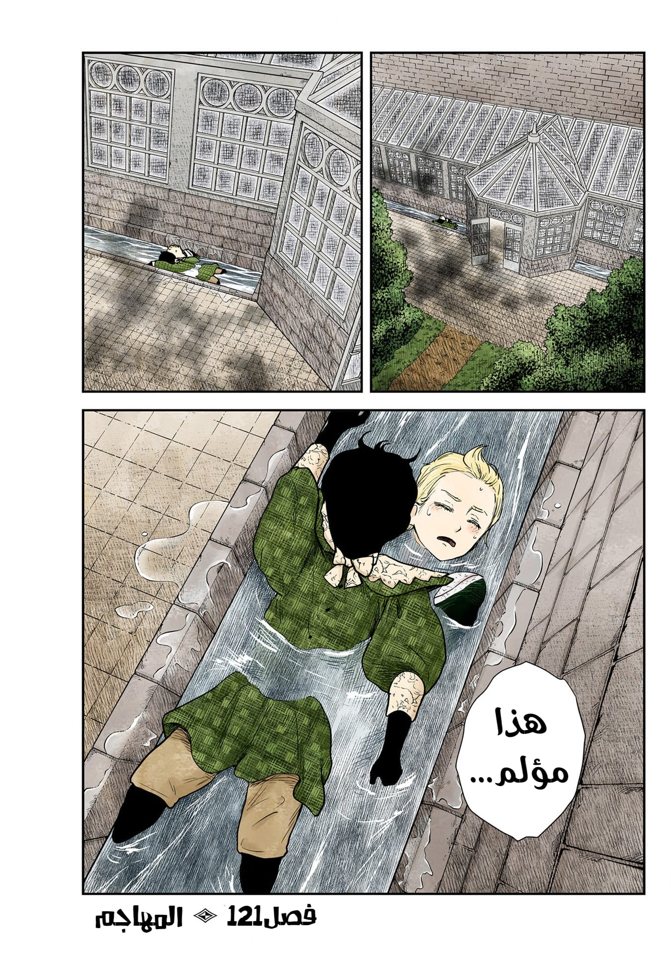 الصفحة 3