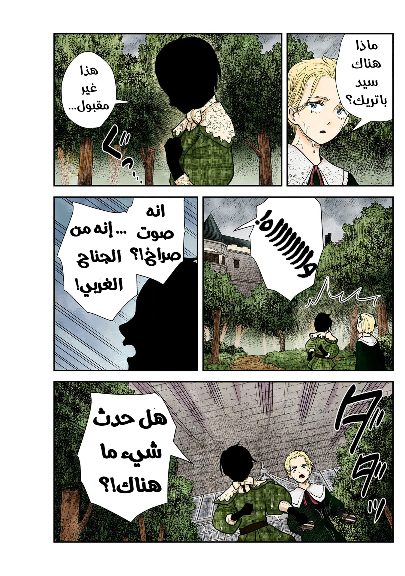 الصفحة 11