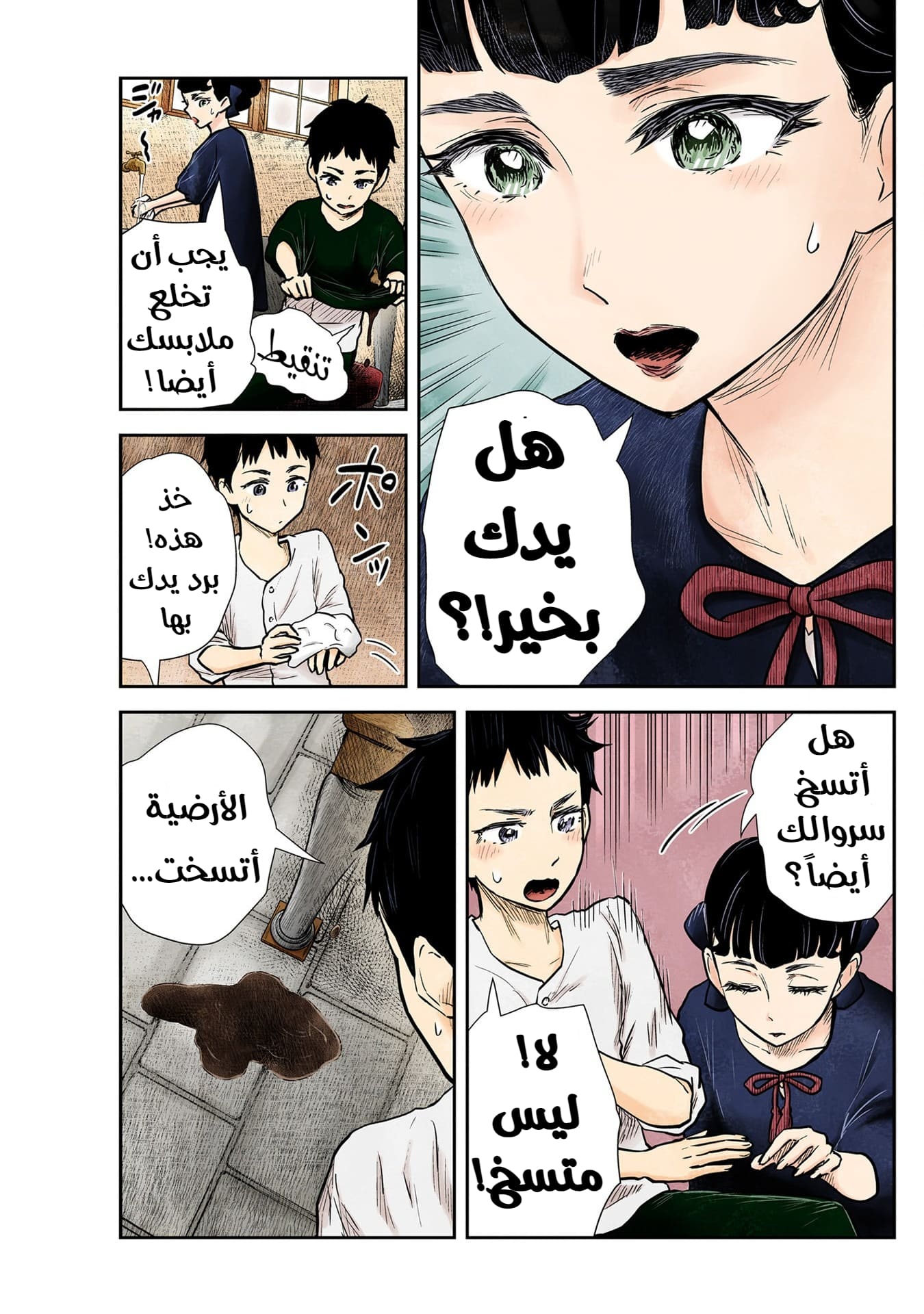 الصفحة 11