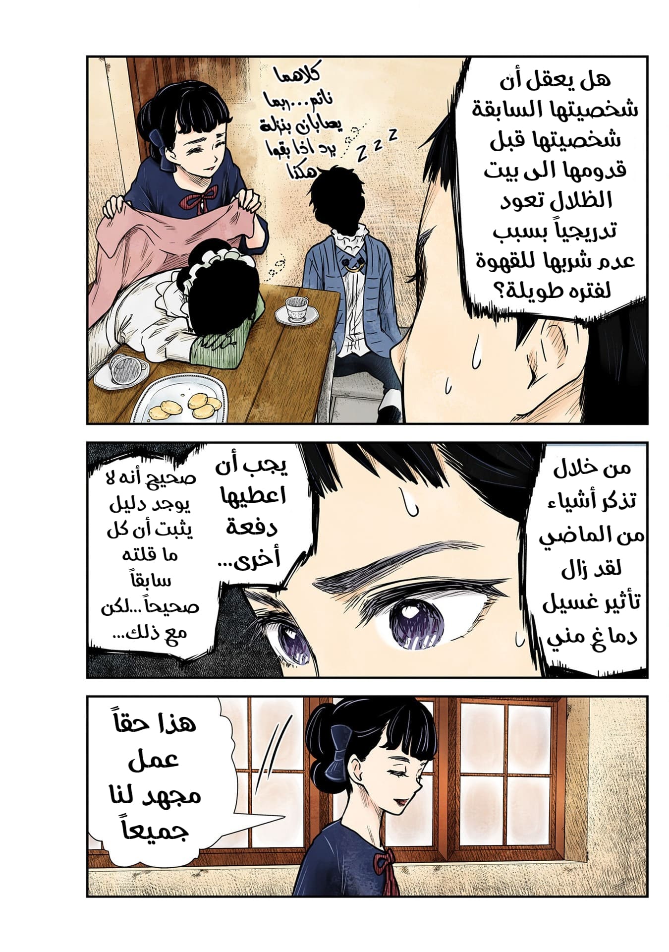الصفحة 13
