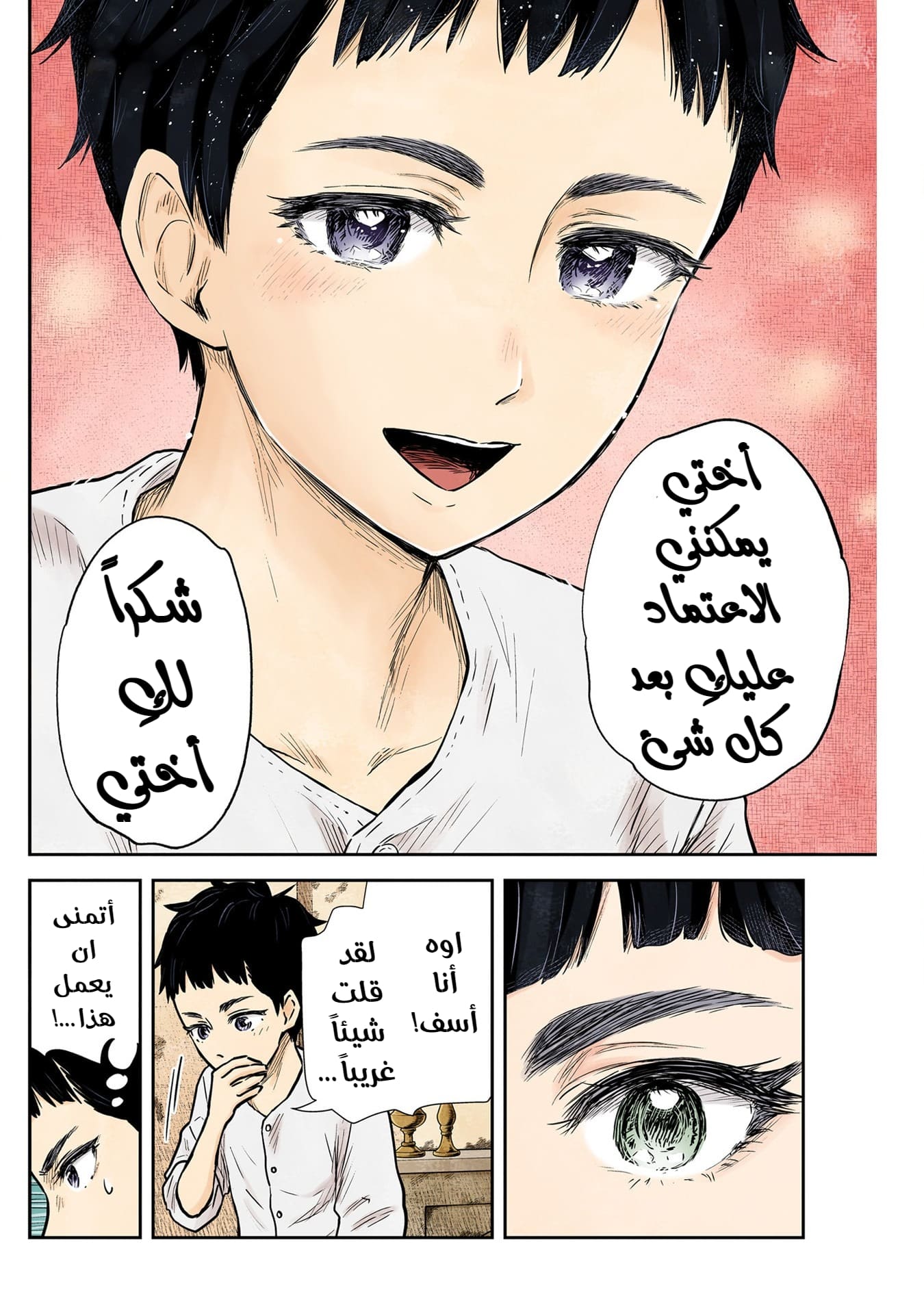 الصفحة 14