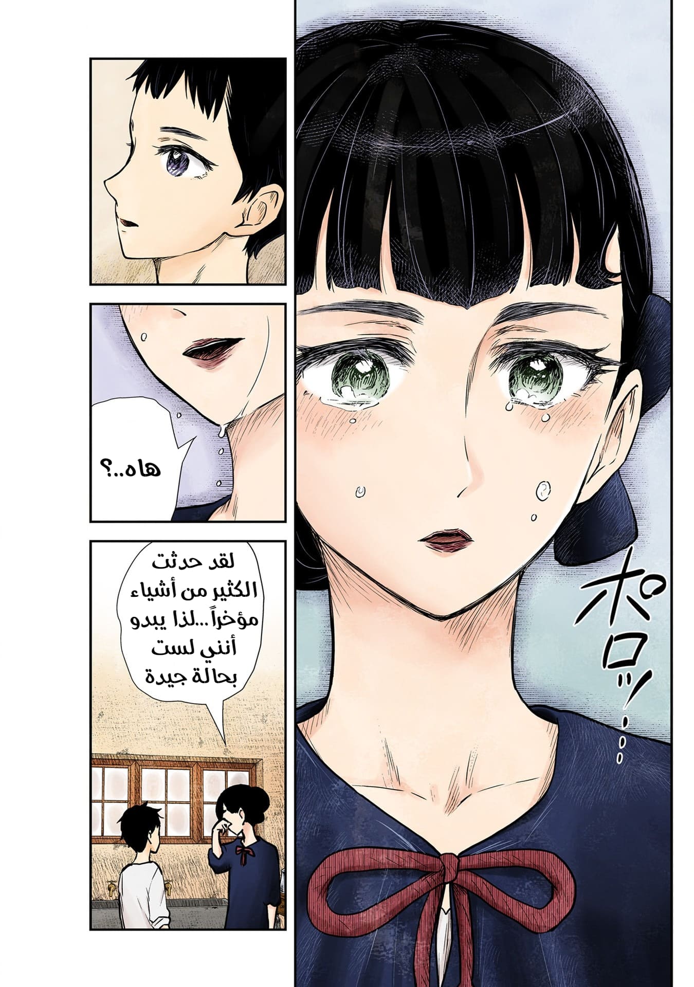 الصفحة 15