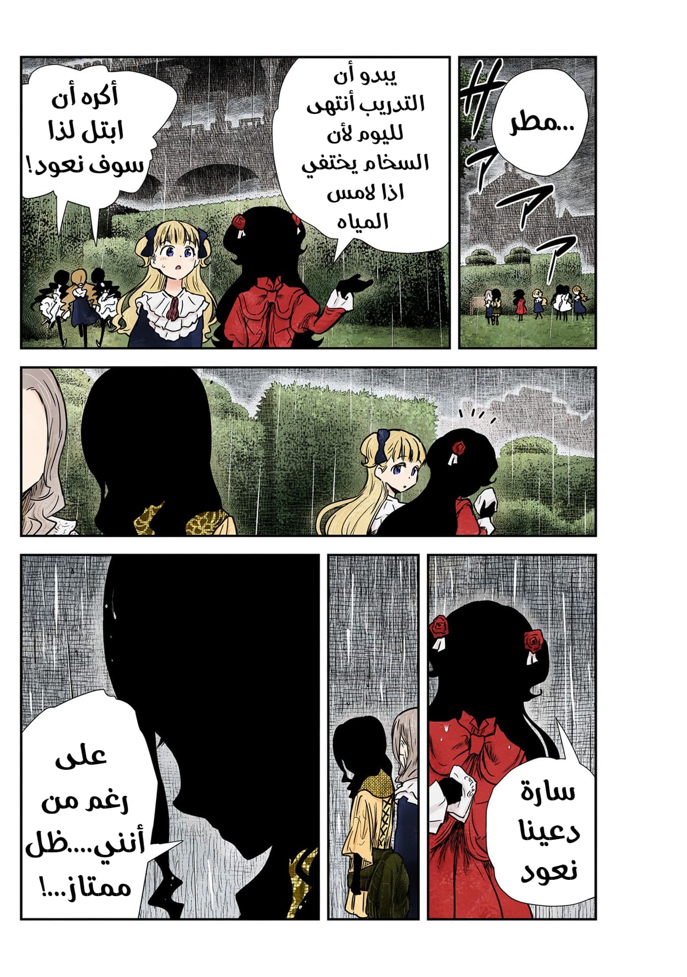 الصفحة 13