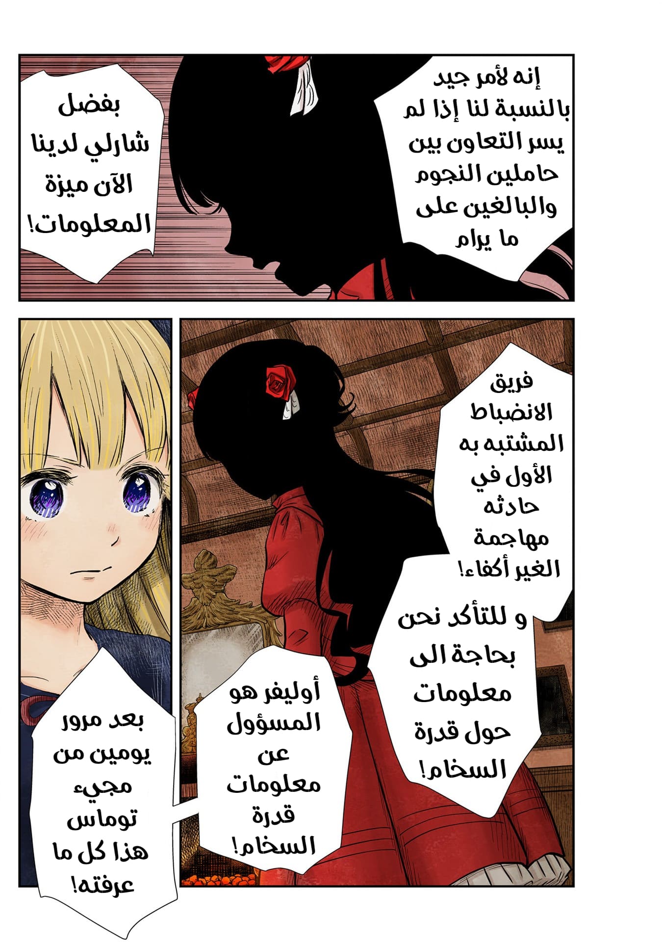 الصفحة 13