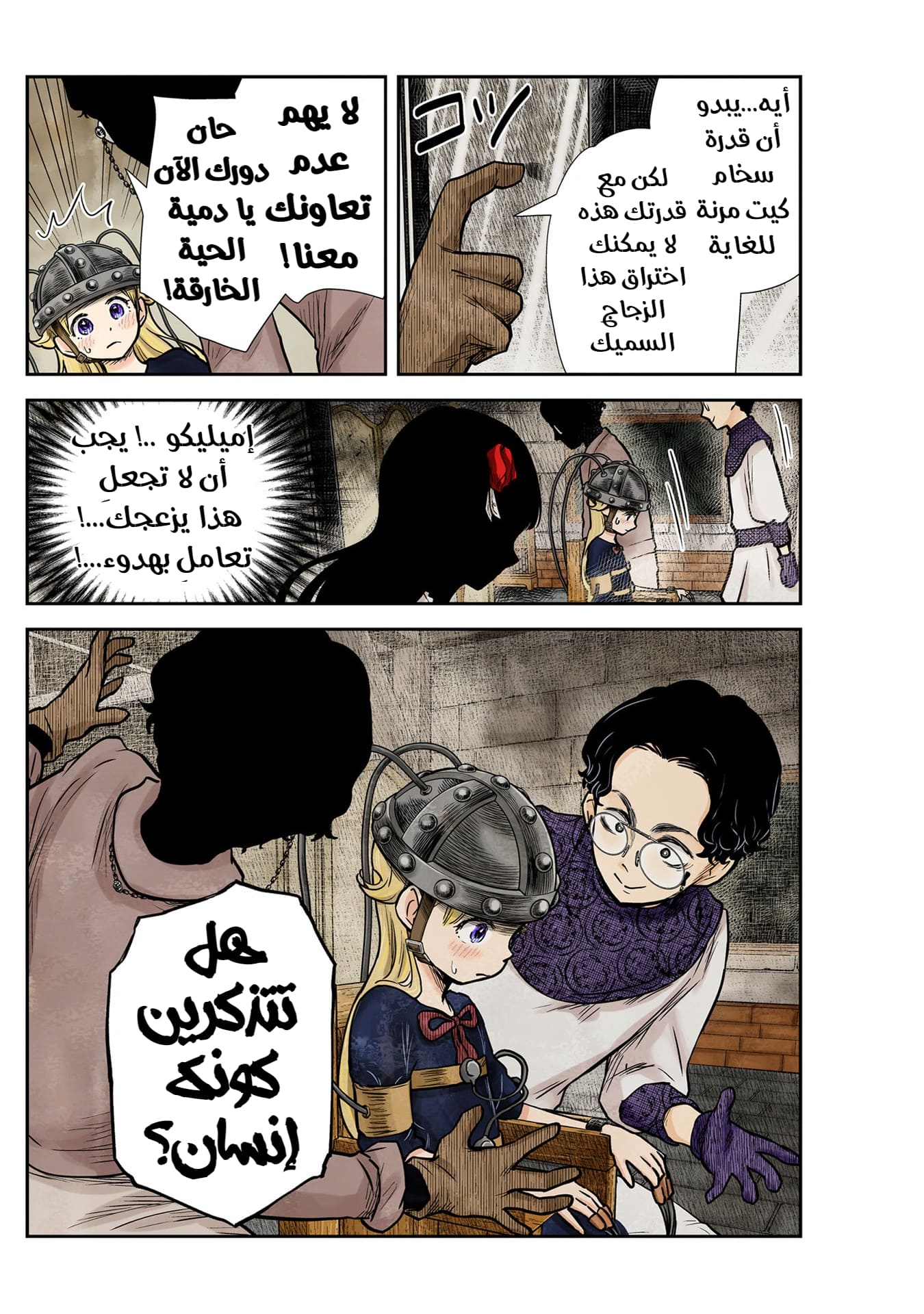 الصفحة 13